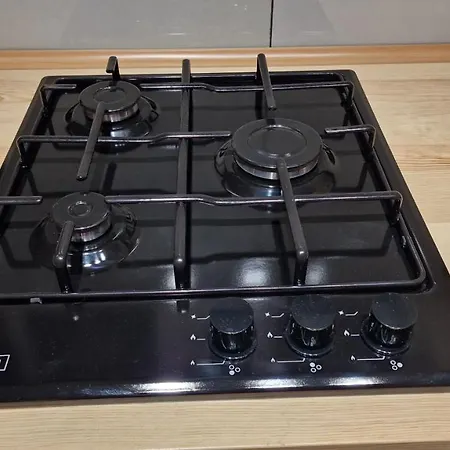 Na Moniuszki 公寓 莱格尼察