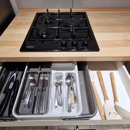 公寓 Na Moniuszki 莱格尼察