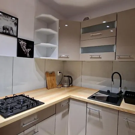 Na Moniuszki 公寓 莱格尼察