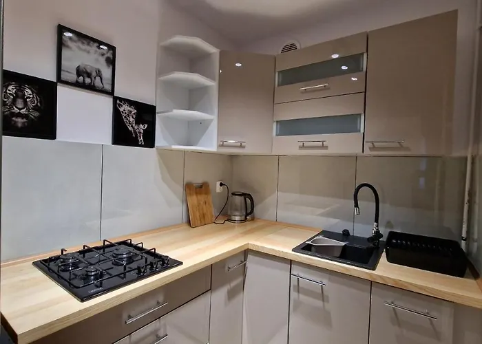 Na Moniuszki 公寓 莱格尼察